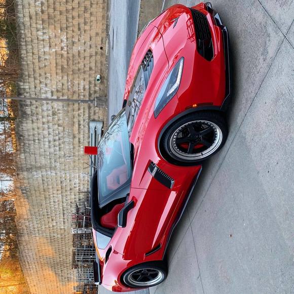 Meet your Posher, Josephine - Picture 1 of 1